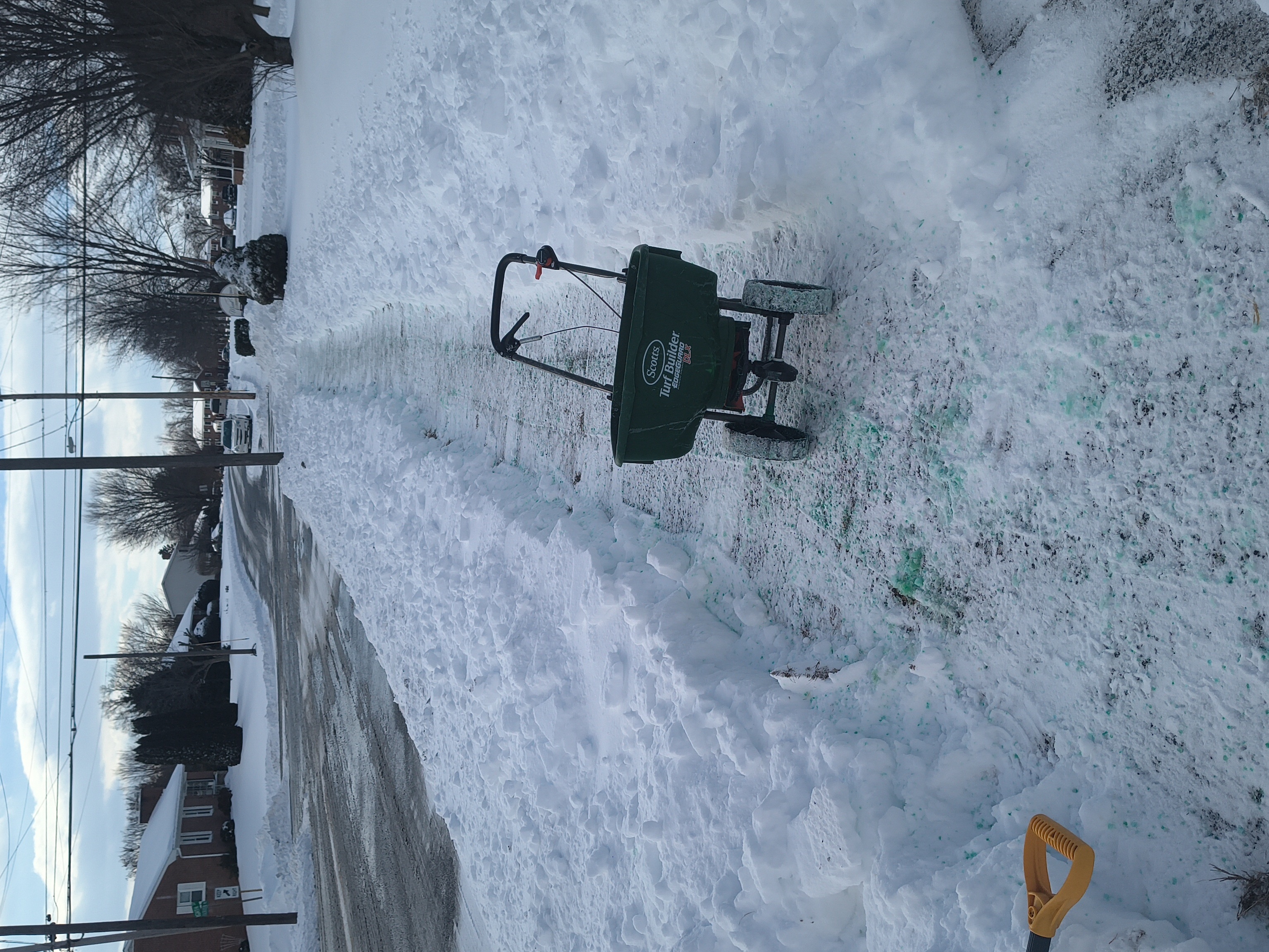 Portfolio Snow